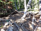 Remains of an old cabin in the woods.