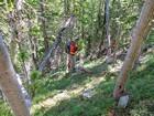 Hiking up through the forest.