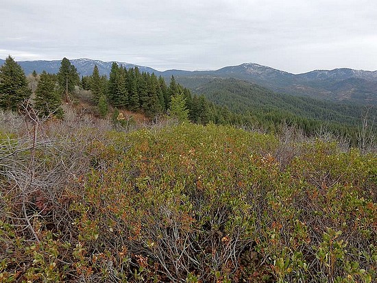 View from the summit of Hoodoo Peak.