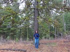 Mossy trees and other natural beauty.