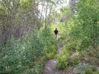 Ken passing through some Aspen on the way down.