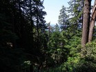 Fleeting view of the Pacific Ocean.