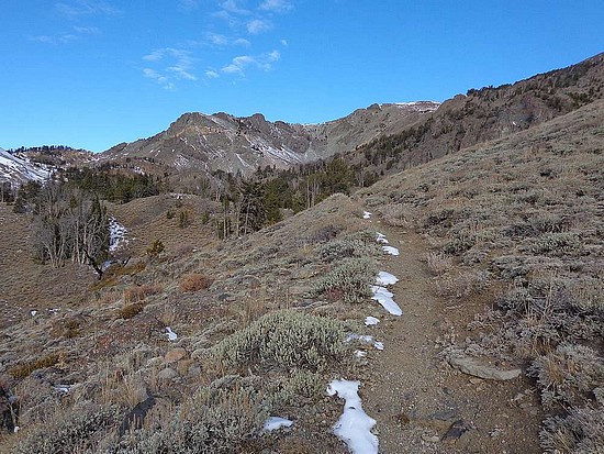 Iron Bog Peak