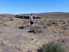 Lots of ant hills on top of the butte.