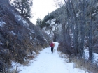 Starting up the Jarbidge River trail.