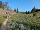 On the trail to Mount Jefferson.