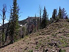 Lightning Peak from the saddle to the northeast.