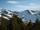 Pioneers Mountains in the distance, looking across Peak 7536' and Red Elephant Gulch.