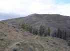 Kepros Mountain and some of the very few trees encountered along the way.