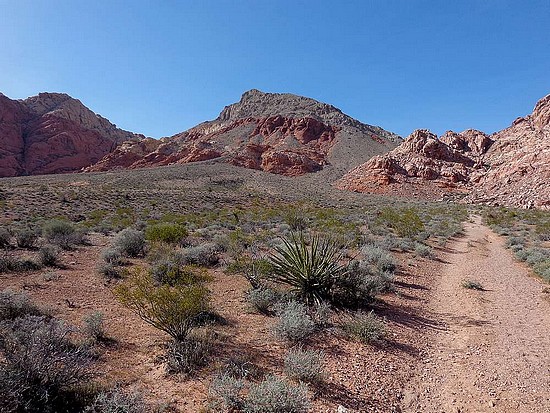 Calico Basin, Nevada