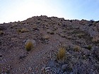 The trail up the east side of New Peak.