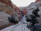 Looking down Ash Creek toward Calico Basin.