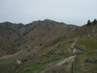 Looking up at the summit of Krall Mountain.