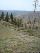 Sean nearing the summit.