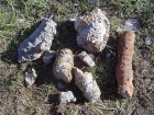 A sampling of the fossils seen in the area. Most seem to be coming from Bad Rock Peak.