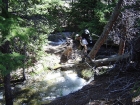 JJ crossing a log near the East Fork Pahsimeroi trailhead.