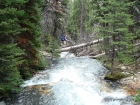Ken crossing a log over the West Fork Pahsimeroi River.