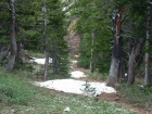 Mule deer we saw on the trail from Pass Lake.