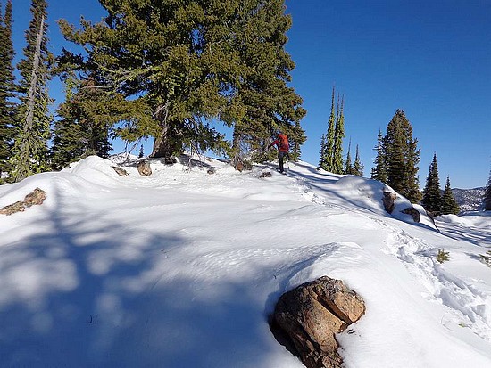 Summit of Little Bull Trout Point