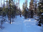 Heading down the flat trail.