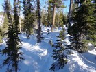 Winding our way back down through the trees.