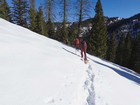 Traversing back to the trail.