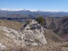 Not many trees in the Danskins, but here's some growing out of a rock.