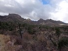 Davis Mountain Preserve, early in the hike.