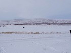 Lockman Butte from the cow field.