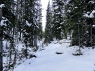 Heading up the snowy trail.