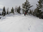 Sean nearing the summit of Rough Peak.