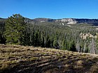 Rough Creek drainage.