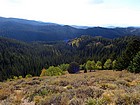 Open area on the way down to the trailhead.