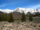 One last look back at Lorenzo Peak, summit just visible on the right.