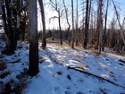 A little snow on the summit.