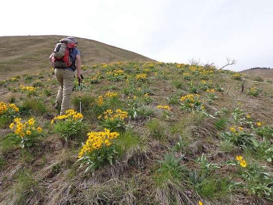 Heading up Lucky Peak.