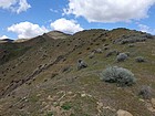 Nice views along the southeast ridge of Macks Peak.