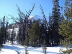 This is a look at the summit from near where the east ridge meets the summit block.