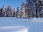 Leaving the trailhead.