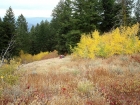 Taking a break in the fall colors.