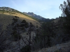 Early view looking up from the trail.