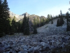 This is where the climbing starts at 9200'. From here we climbed the forested slope on the left to reach the knob at 10400'.