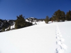 Climbing the ridge toward Butterfield Point (9701')