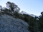 Heading up the north ridge of Red Cone Peak.