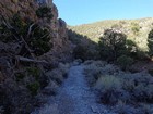 Beginning of Sawtooth Canyon trail.