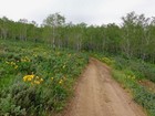 Start of the hike.