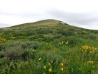 Typical terrain along the way.