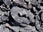 Fossils along the ridge to Sheep Pen Peak.