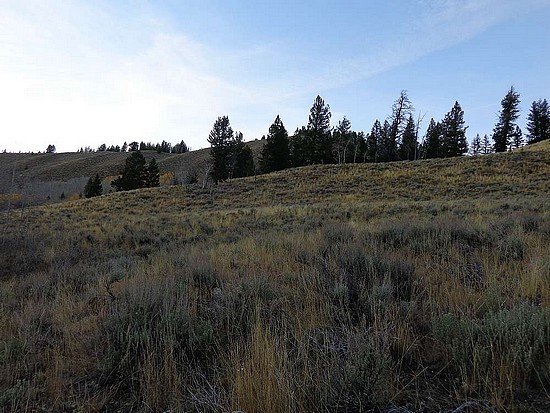 Pass Creek Peak Approach