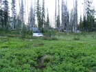 Our campsite at Marge Lake.